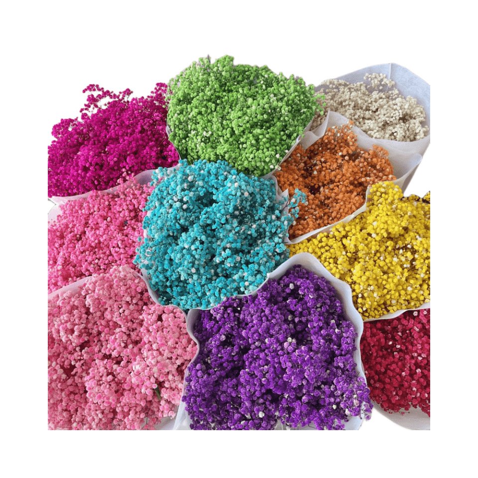 Preserved natural Gypsophila flower, Babysbreath Flower, big pack 400 grams, hot sale Chinese supplier