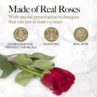 16 Forever Endless Eternal Flowers Real Preserved Roses in Heart Shaped Gift Box for Valentine's Day Gift Ideas 2024