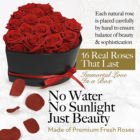16 Forever Endless Eternal Flowers Real Preserved Roses in Heart Shaped Gift Box for Valentine's Day Gift Ideas 2024