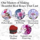 16 Forever Endless Eternal Flowers Real Preserved Roses in Heart Shaped Gift Box for Valentine's Day Gift Ideas 2024