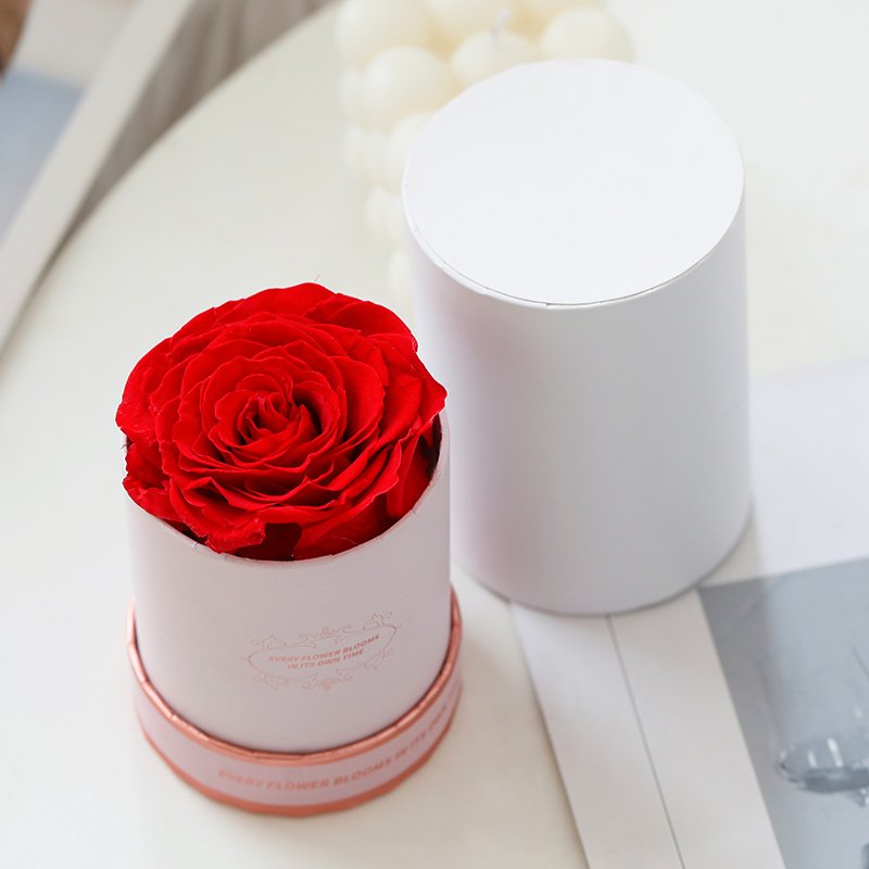 Wholesale flower bx luxury customized eternal forever preserved rose in gift box for wedding home decor
