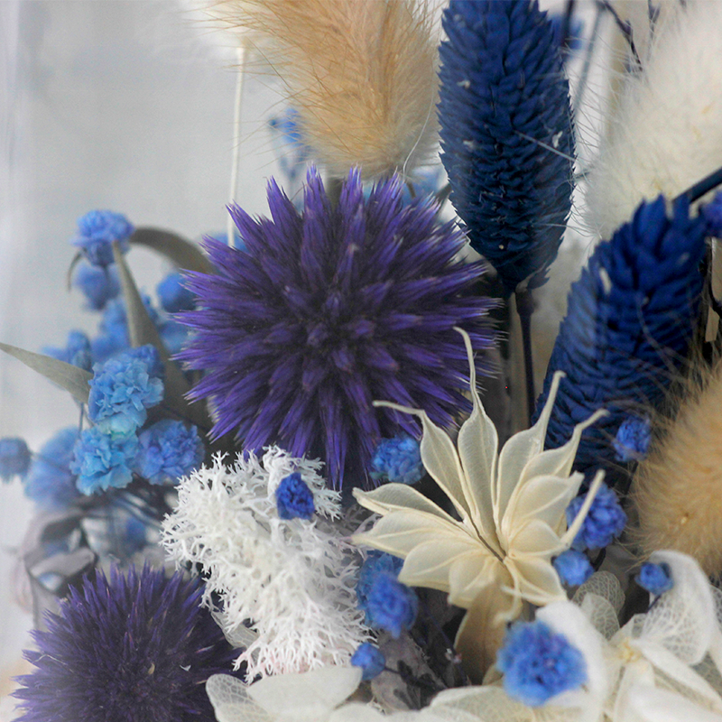 SoftDream Wholesale Dried Flowers Natural Handmade Forever Roses Preserved Flowers in Glass for Valentine mothers day gifts