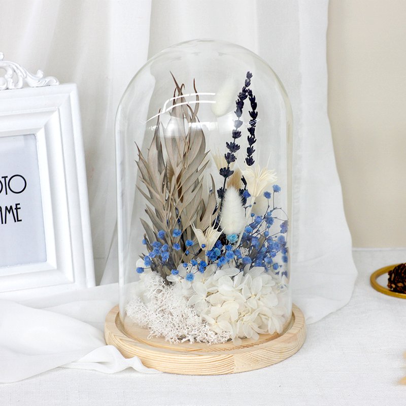 SoftDream Wholesale Dried Flowers Natural Handmade Forever Roses Preserved Flowers in Glass for Valentine mothers day gifts