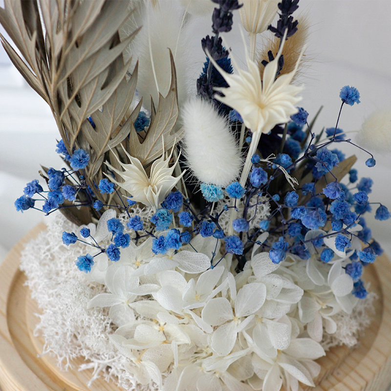 SoftDream Wholesale Dried Flowers Natural Handmade Forever Roses Preserved Flowers in Glass for Valentine mothers day gifts