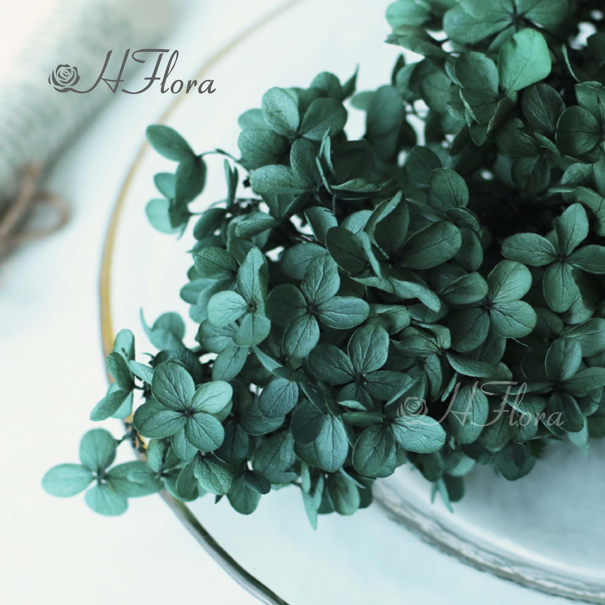 HFlora 100g Anna Hydrangea Preserved Flower In Box White Navy Yellow Hydrangea For Wedding Hydrangea Home Flower Shop Decoration