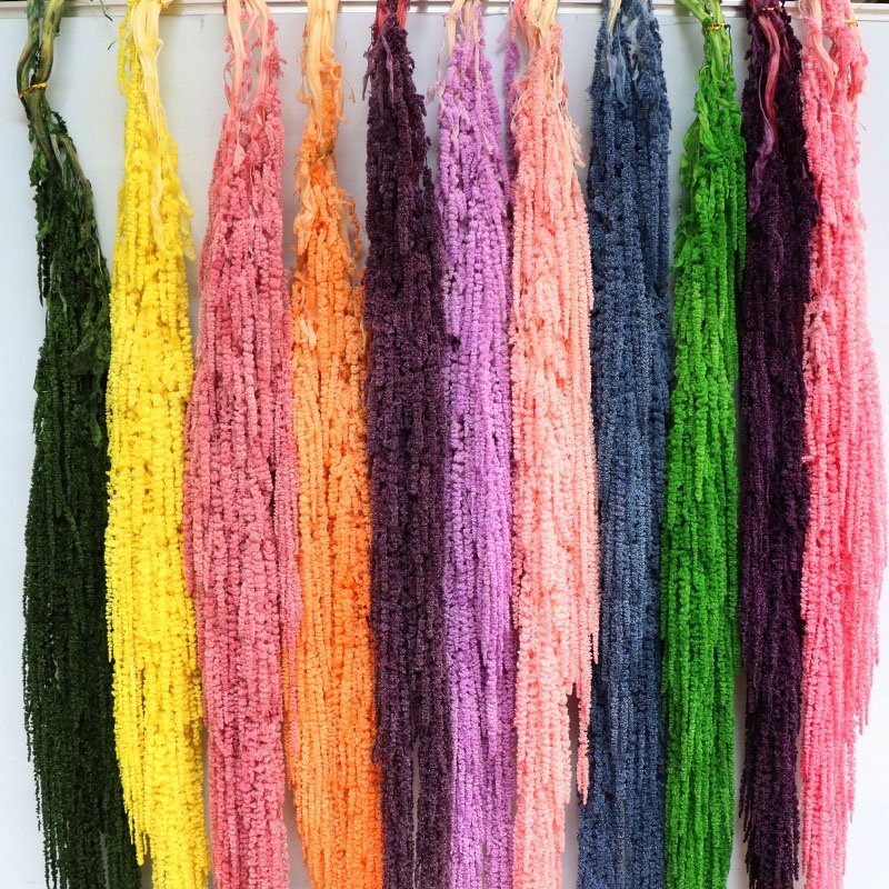 2023 New Hot Selling Wholesale Preserved Flowers Amaranthus For Wedding Home Decoration