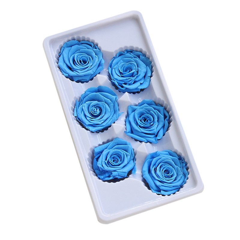 Wholesale high quality 5-6cm Beautiful Rose Heads preserve big roses Preserved Flowers