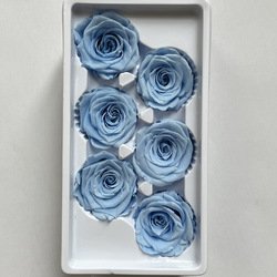 SKU17