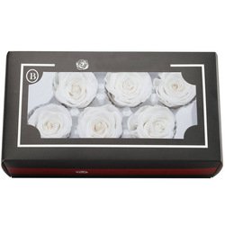 SKU22