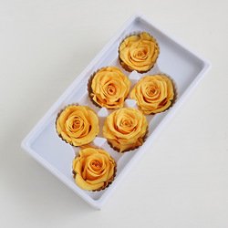 SKU04