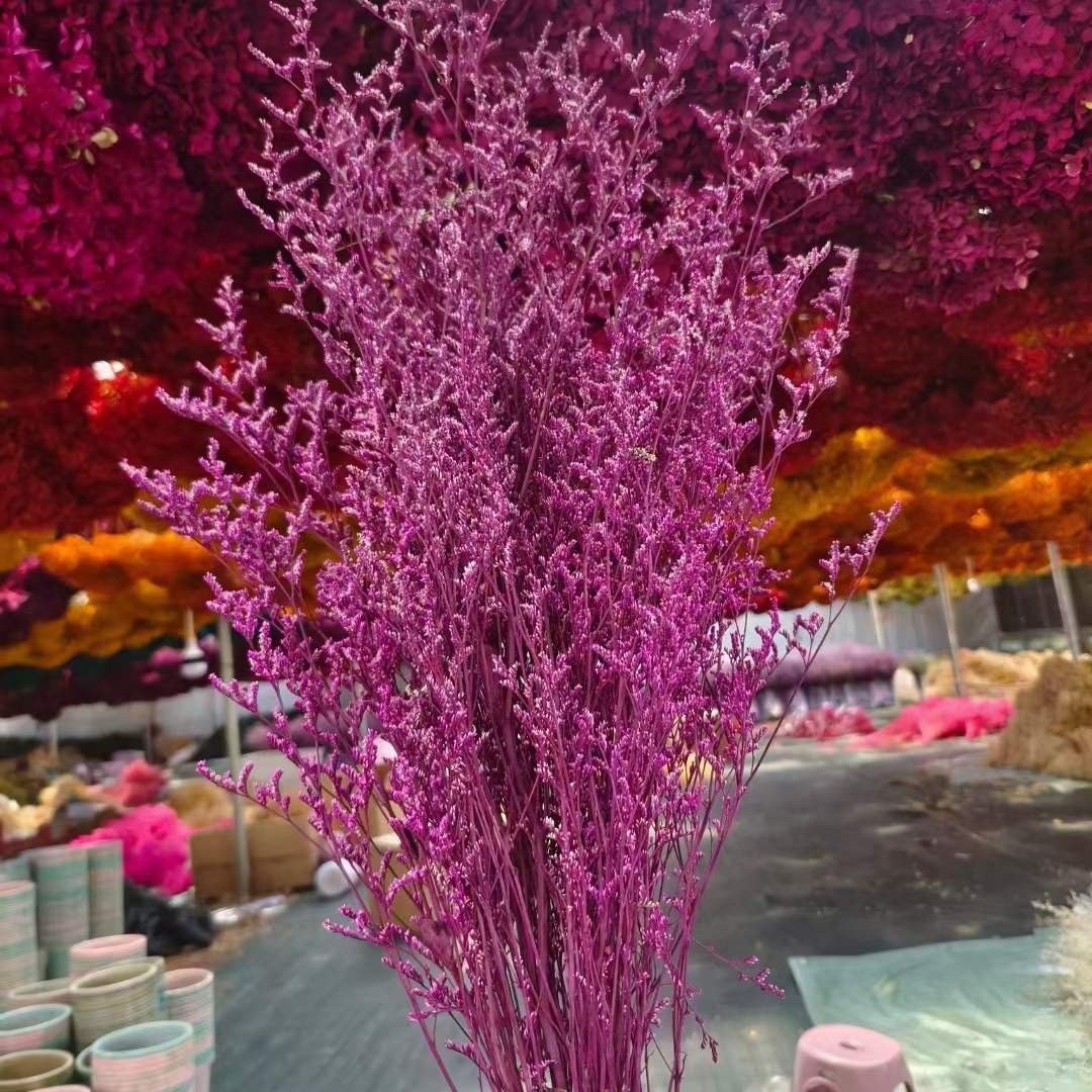 Preserved Natural Flowers Preserved Limonium Statice Everlasting Valentine's Grass Decorative Flower Limonium Statice