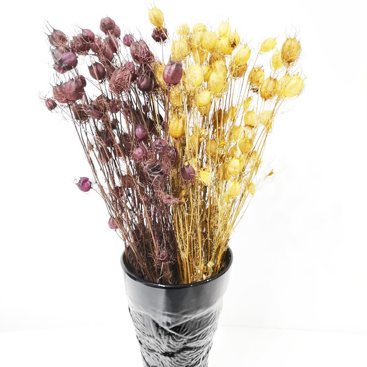 SumFlora Kunming factory Wholesale beautiful yellow Wedding table decoration real flower in stage preserved flower nigella