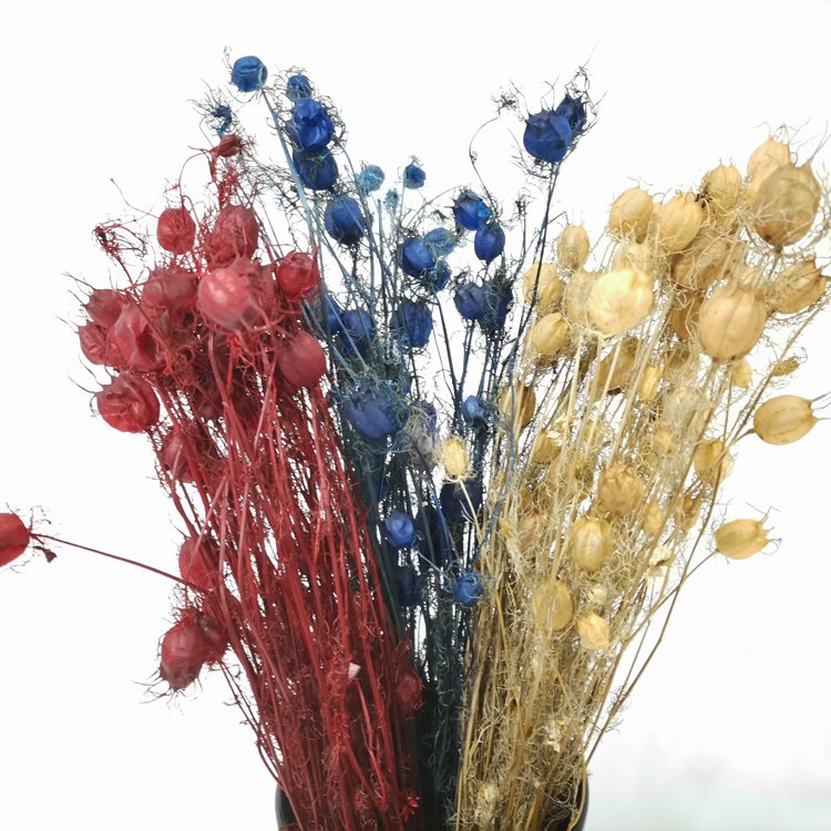 SumFlora Kunming factory Wholesale beautiful yellow Wedding table decoration real flower in stage preserved flower nigella