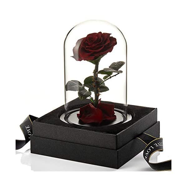 Wholesale Cheap Price Handmade Beauty Beast Rose long lasting Preserved flowers in Glass tube