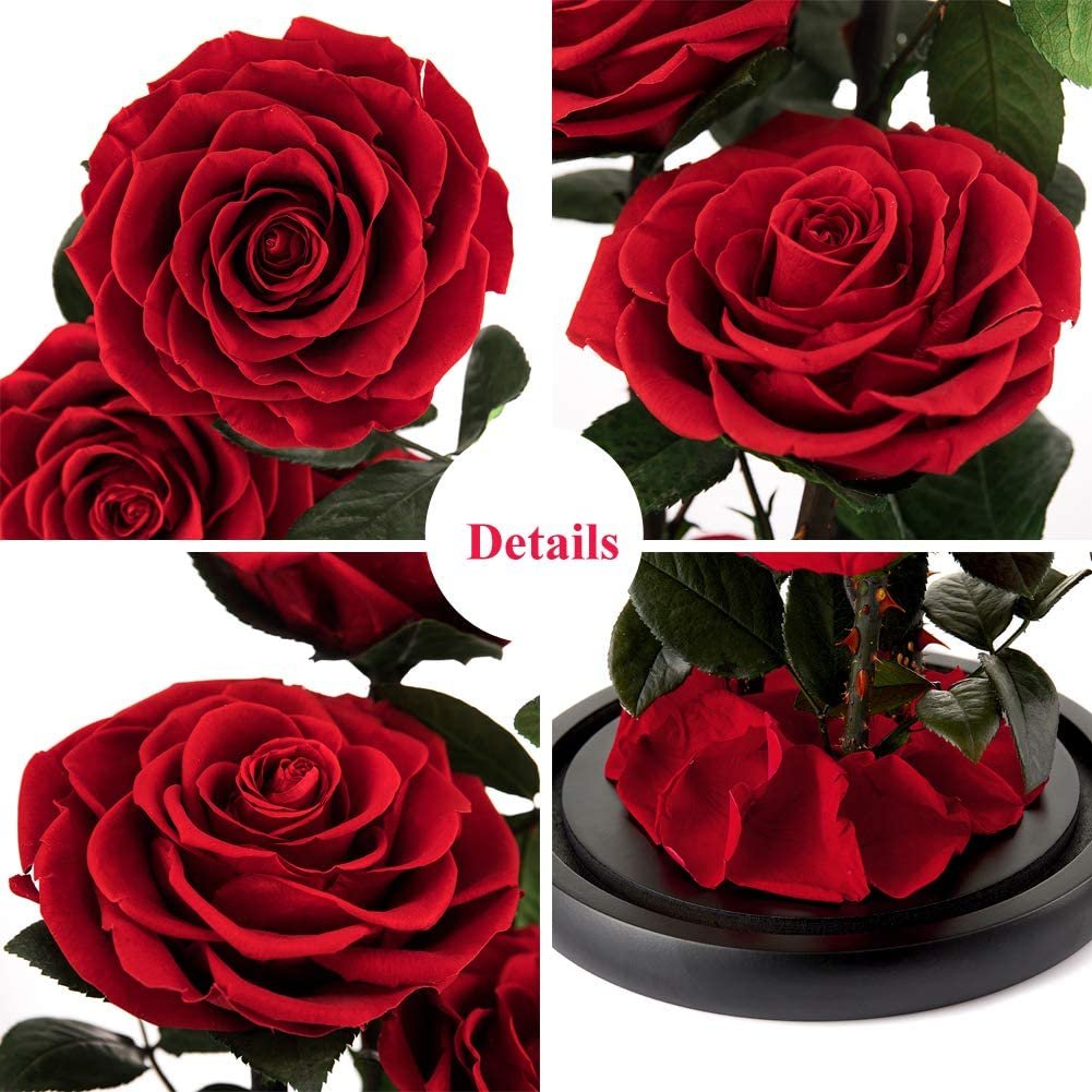 Wholesale Cheap Price Handmade Beauty Beast Rose long lasting Preserved flowers in Glass tube