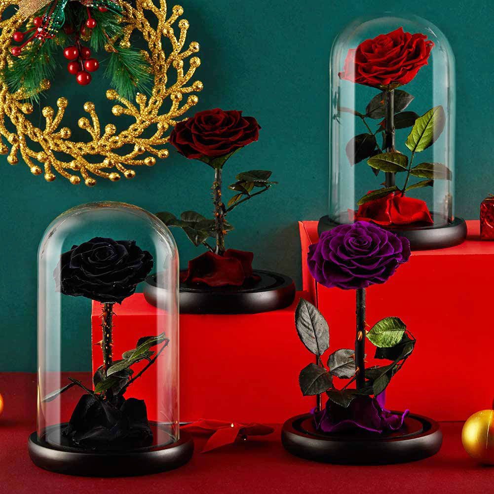 Wholesale Cheap Price Handmade Beauty Beast Rose long lasting Preserved flowers in Glass tube