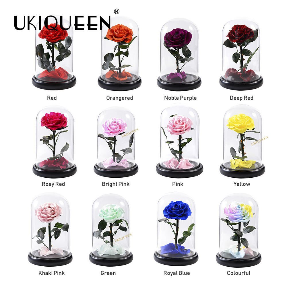 Wholesale Cheap Price Handmade Beauty Beast Rose long lasting Preserved flowers in Glass tube