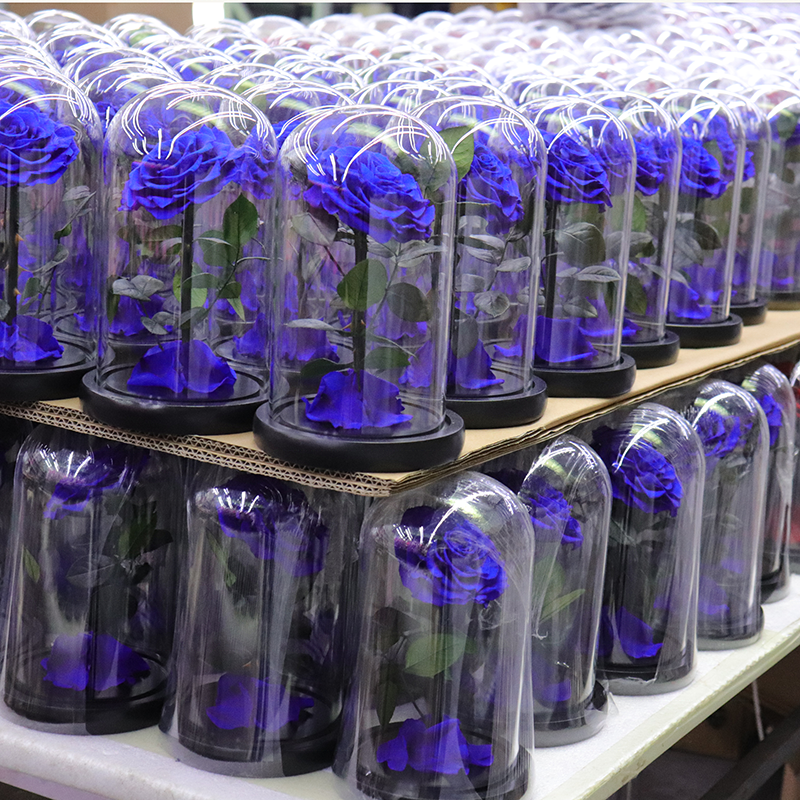 Wholesale Preserved Rose In Glass Flower Boxes Handmade Preserved Flower Box Gift Box For Preserved Flower With Ribbon