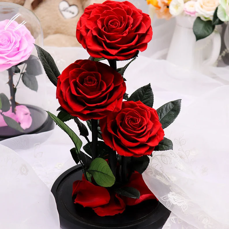AX-90 Preserved real flower eternal rose in glass dome for Christmas Valentine's Day Mother's Day Wedding Anniversary gift