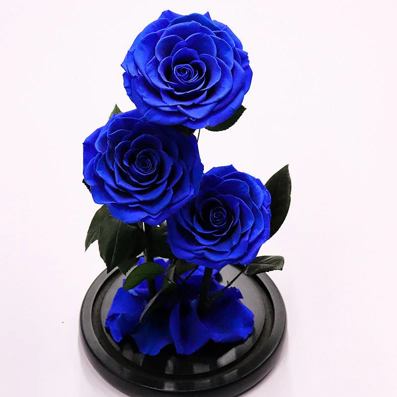 AX-90 Preserved real flower eternal rose in glass dome for Christmas Valentine's Day Mother's Day Wedding Anniversary gift