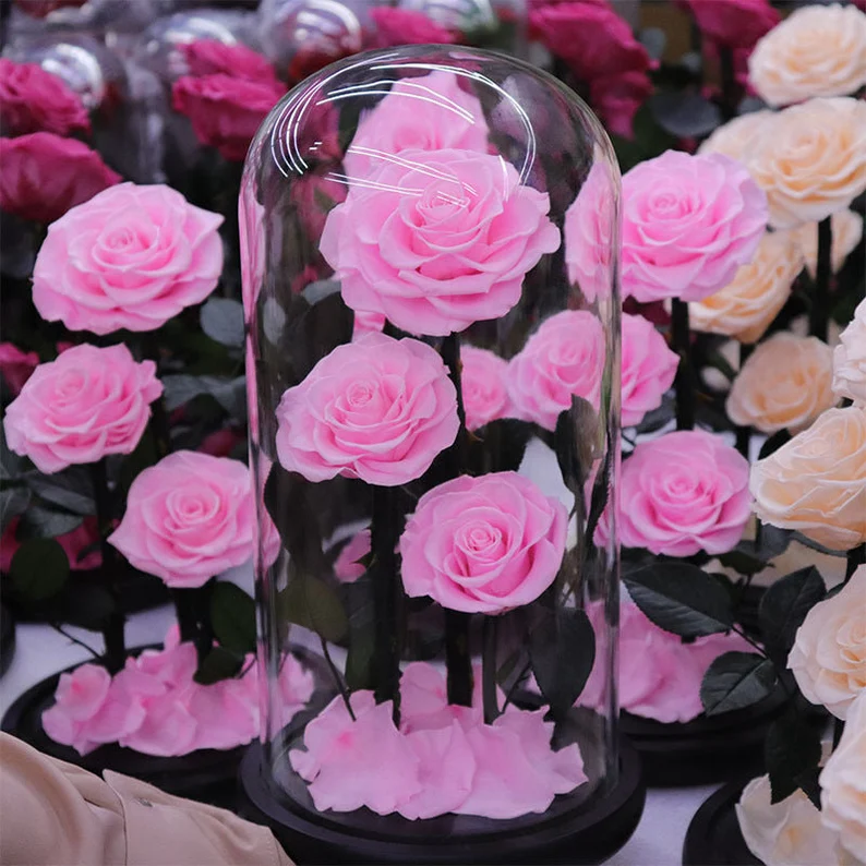 AX-90 Preserved real flower eternal rose in glass dome for Christmas Valentine's Day Mother's Day Wedding Anniversary gift