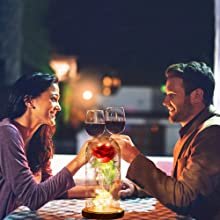 Red Rose Artificial Flowers Creative Valentine's Day Mother's Day Gift Rose in Glass Cover Light Up Rose Wedding LED Galaxy Rose