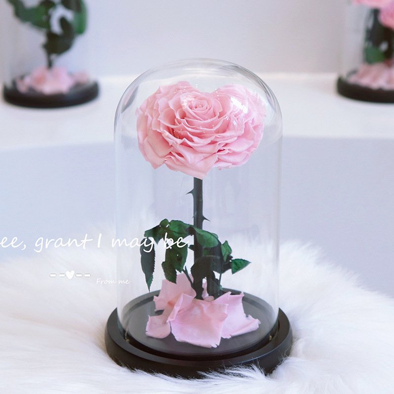 Preserved Flower Glass dome Little Prince Rose Gift Box Valentine's Day Qixi Christmas Gift
