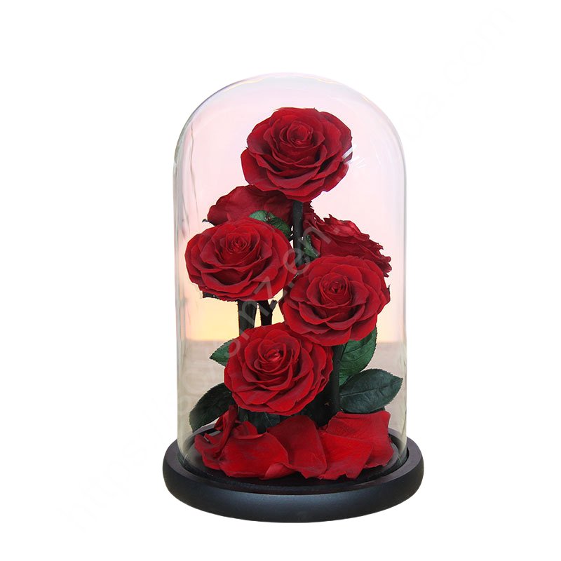 Real Natural Rose Belle Enchanted Mothers Day Gift Box Decor Everlasting Forever Eternal Rose Preserved Flower in Glass Dome LED