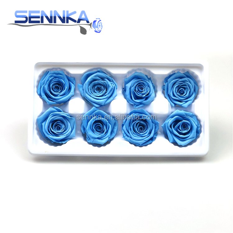 wholesale fresh preserved flowers rose for home wedding decoration