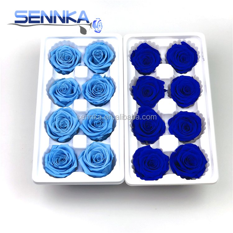 wholesale fresh preserved flowers rose for home wedding decoration