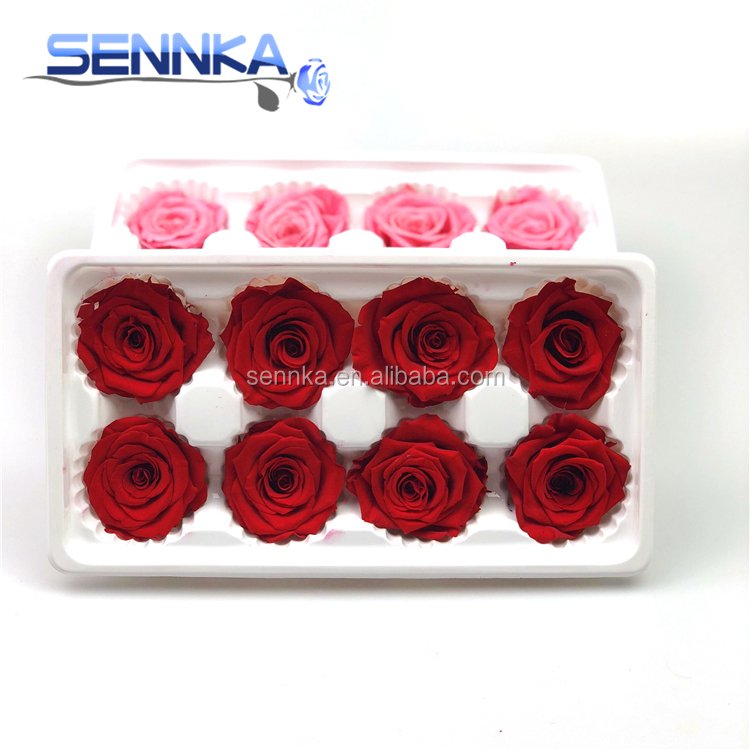 wholesale fresh preserved flowers rose for home wedding decoration