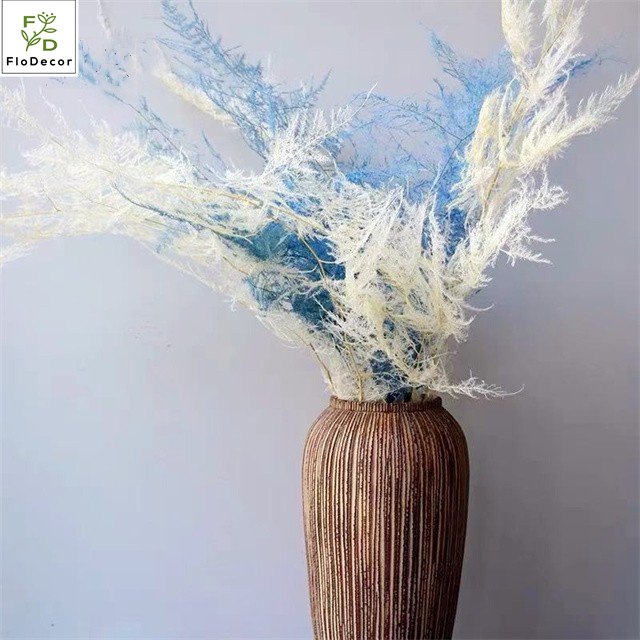 Wholesale Natural Preserved Hanging Ferns Plants Flowers Foliage Wedding Hone Party Decoration