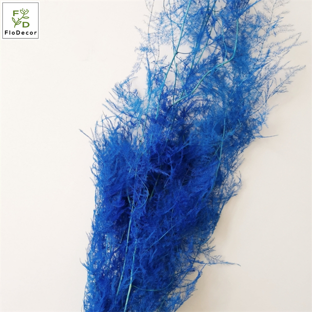 Wholesale Natural Preserved Hanging Ferns Plants Flowers Foliage Wedding Hone Party Decoration