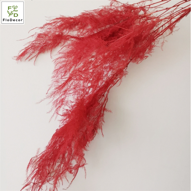Wholesale Natural Preserved Hanging Ferns Plants Flowers Foliage Wedding Hone Party Decoration