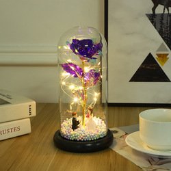 Purple+proposal