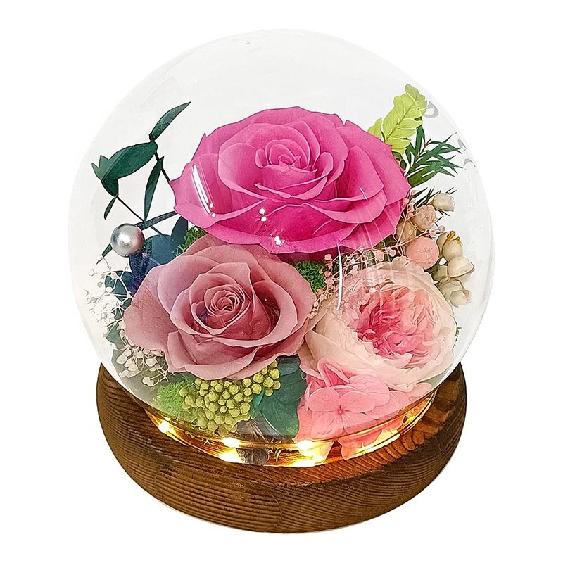 Wholesale Flower Mother's Day Gift Long Life Lasting Real Natural Eternal Rose Preserved Flower Forever Roses In Glass Dome Led