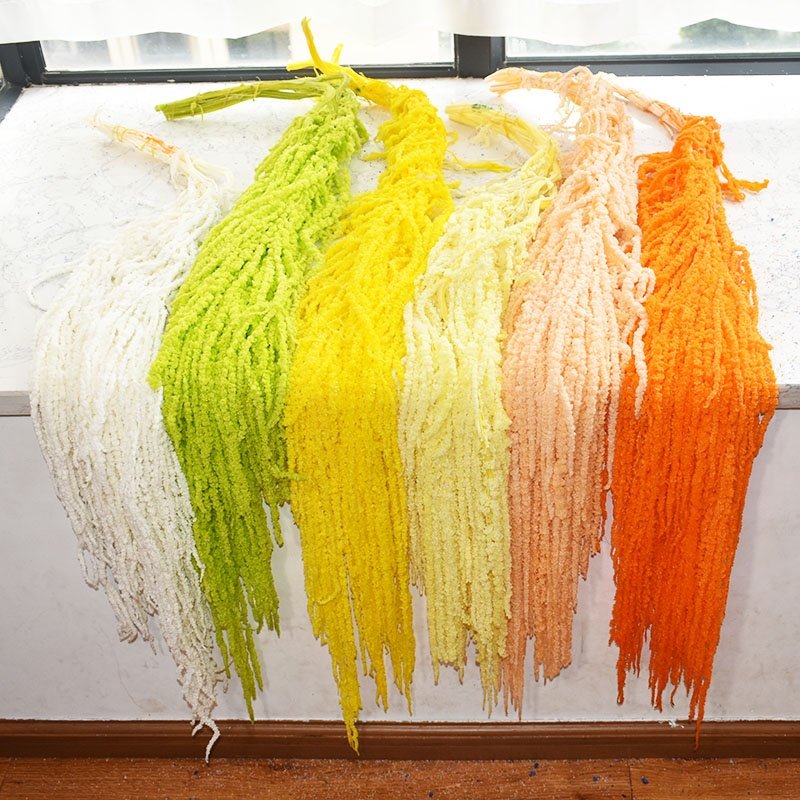 Wedding decoration white flower dried preserved amaranthus hanging amaranthus caudatus preserved Lover's tear flower