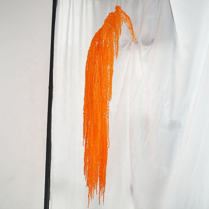 Wedding decoration white flower dried preserved amaranthus hanging amaranthus caudatus preserved Lover's tear flower