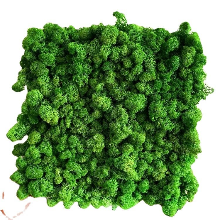 SN-L1063 Wholesales decorative natural preserved moss panel wall