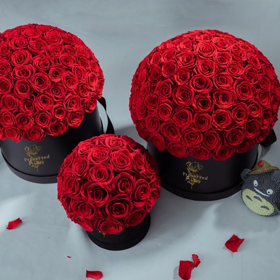 roses wholesale beauty eternal preserved flower mushroom dome rose real touch roses new design 2023