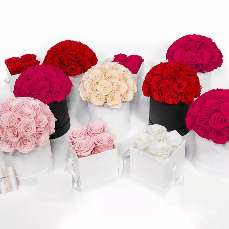 roses wholesale beauty eternal preserved flower mushroom dome rose real touch roses new design 2023