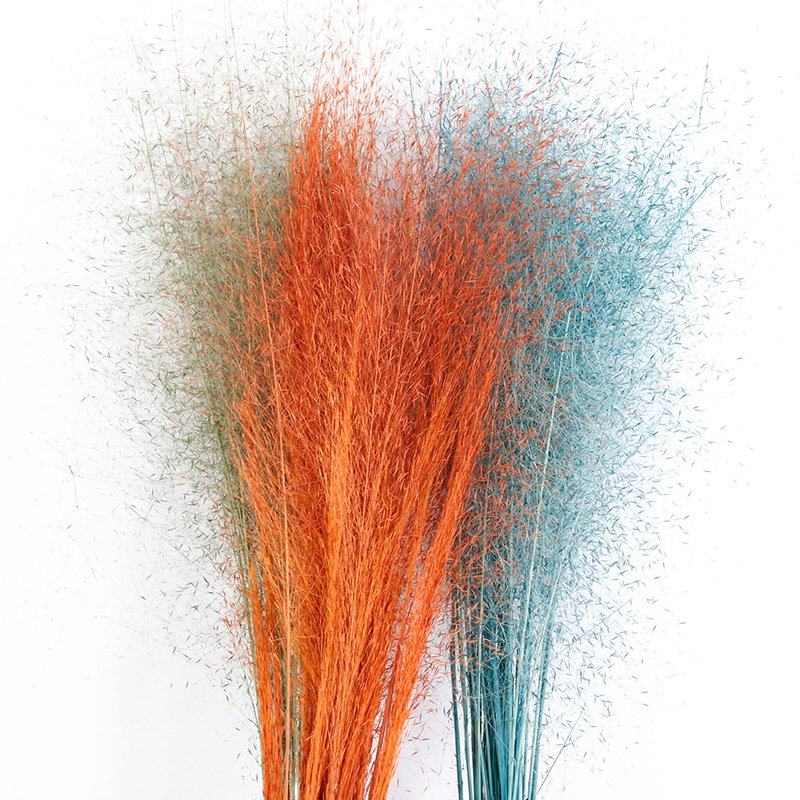 2024 Real Touch High Quality Preserved Flowers And Plants Muhly Grass Zinfandel For Wedding/Home/Festival Decoration