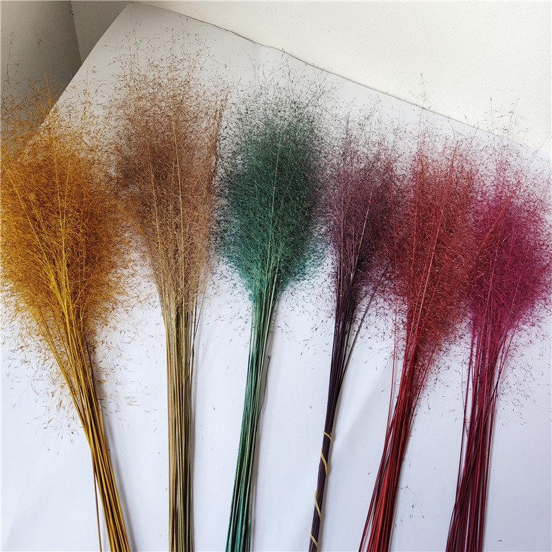2024 Real Touch High Quality Preserved Flowers And Plants Muhly Grass Zinfandel For Wedding/Home/Festival Decoration