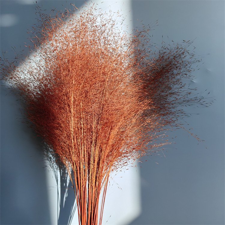 2024 Real Touch High Quality Preserved Flowers And Plants Muhly Grass Zinfandel For Wedding/Home/Festival Decoration