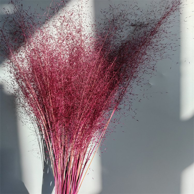 2024 Real Touch High Quality Preserved Flowers And Plants Muhly Grass Zinfandel For Wedding/Home/Festival Decoration