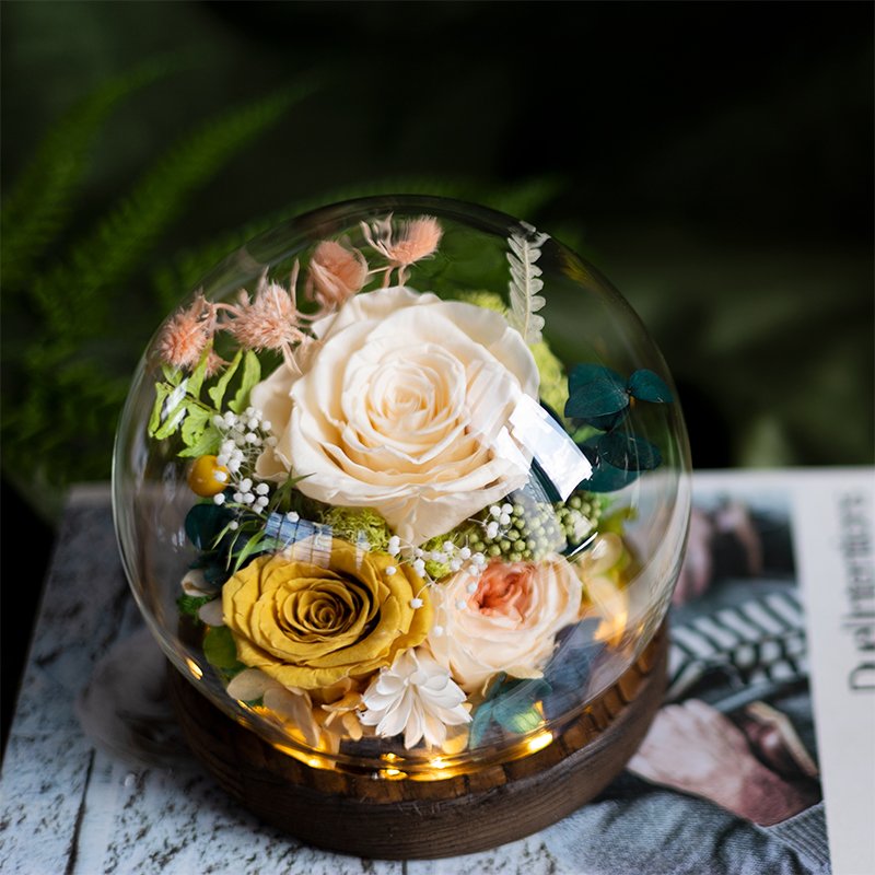 Valentines Day Gifts Eternal Real Rose Everlasting Bella New Product Ideas 2024 Forever Roses Preserved Flower in Glass Dome