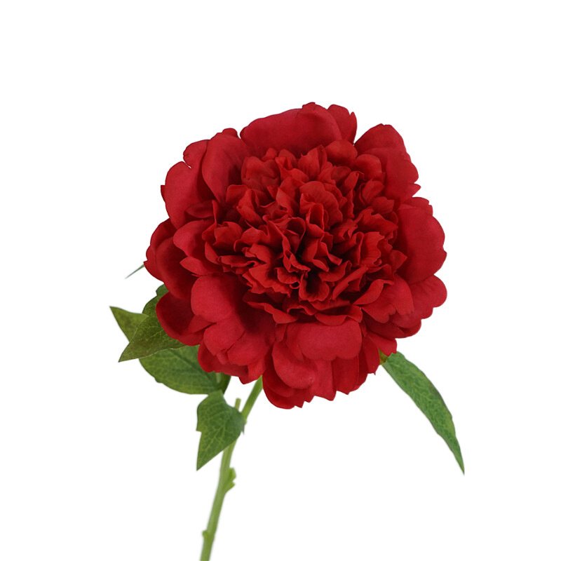 2024 Hot Sale Artificial Real Touch Latex Peony Flower 50cm Size for Wedding Christmas Graduation Halloween New Year Decoration