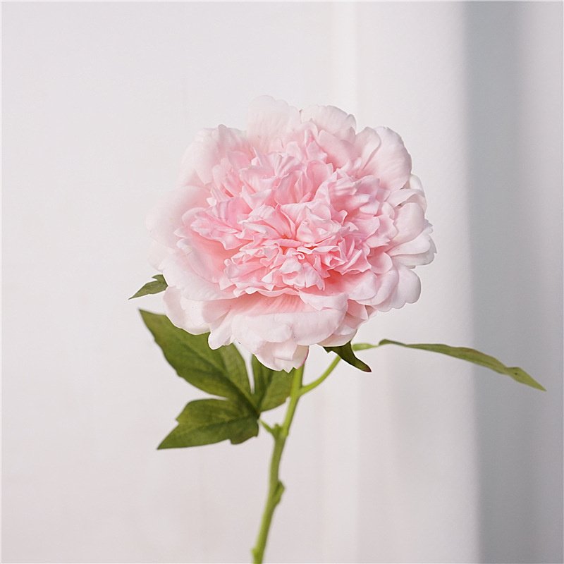 2024 Hot Sale Artificial Real Touch Latex Peony Flower 50cm Size for Wedding Christmas Graduation Halloween New Year Decoration