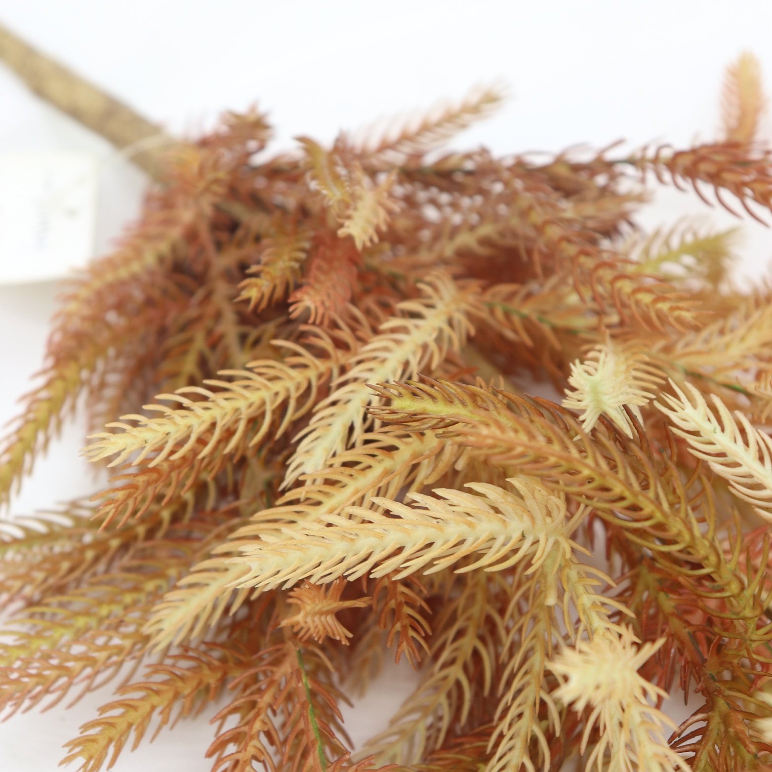 2024 Upgraded 64cm Norfolk Pine Branch Christmas Thanksgiving Artificial Greenery Preserved Flowers & Plants Wreaths Decorative