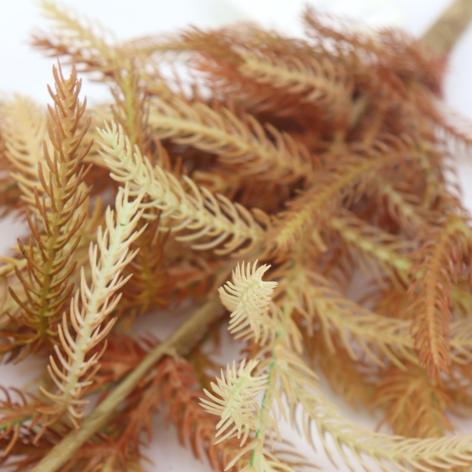 2024 Upgraded 64cm Norfolk Pine Branch Christmas Thanksgiving Artificial Greenery Preserved Flowers & Plants Wreaths Decorative